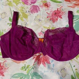 36H bra, Cleo by Panache, New without tags.